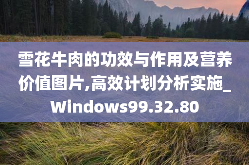 雪花牛肉的功效与作用及营养价值图片,高效计划分析实施_Windows99.32.80