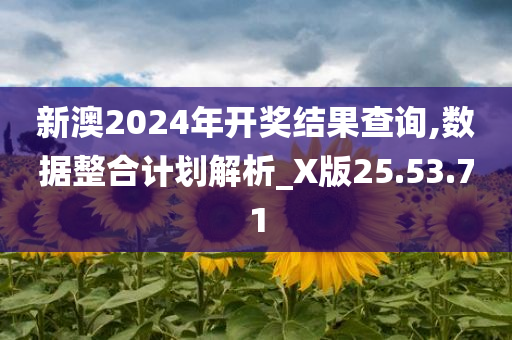 新澳2024年开奖结果查询,数据整合计划解析_X版25.53.71