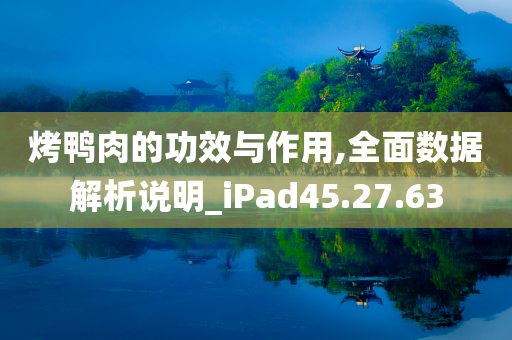 烤鸭肉的功效与作用,全面数据解析说明_iPad45.27.63