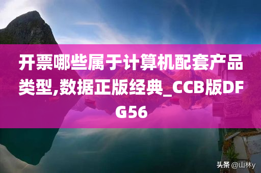 开票哪些属于计算机配套产品类型,数据正版经典_CCB版DFG56