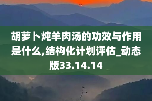 胡萝卜炖羊肉汤的功效与作用是什么,结构化计划评估_动态版33.14.14