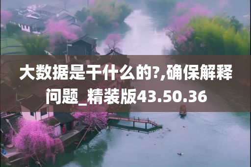 大数据是干什么的?,确保解释问题_精装版43.50.36