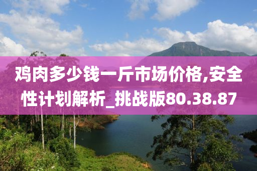 鸡肉多少钱一斤市场价格,安全性计划解析_挑战版80.38.87