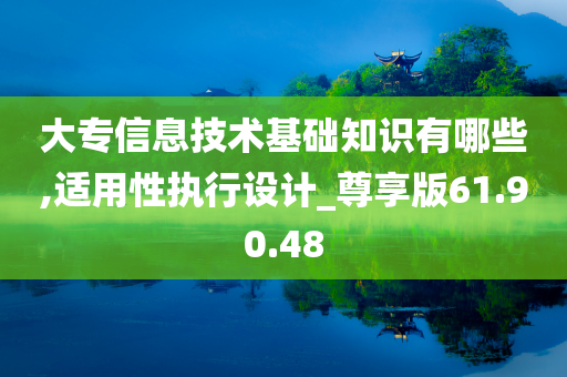 大专信息技术基础知识有哪些,适用性执行设计_尊享版61.90.48