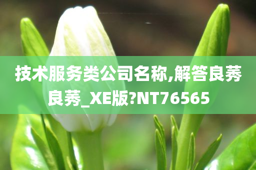 技术服务类公司名称,解答良莠良莠_XE版?NT76565