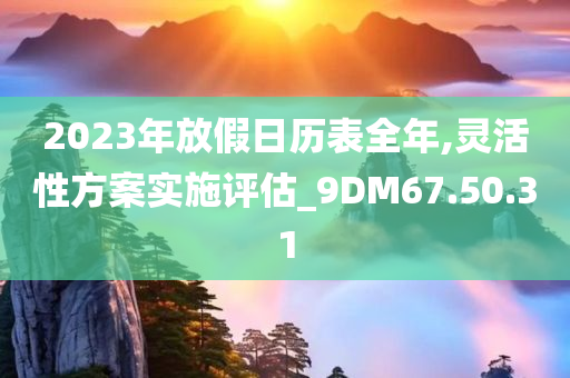 2023年放假日历表全年,灵活性方案实施评估_9DM67.50.31