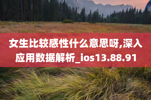 女生比较感性什么意思呀,深入应用数据解析_ios13.88.91