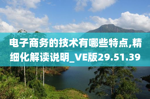 电子商务的技术有哪些特点,精细化解读说明_VE版29.51.39