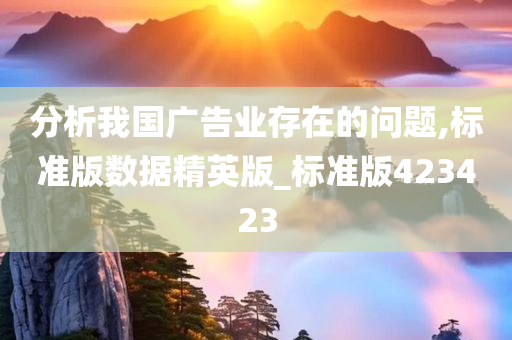 分析我国广告业存在的问题,标准版数据精英版_标准版423423