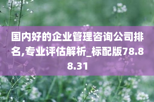 国内好的企业管理咨询公司排名,专业评估解析_标配版78.88.31