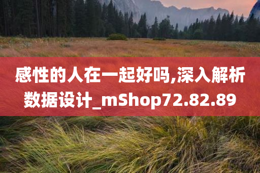 感性的人在一起好吗,深入解析数据设计_mShop72.82.89