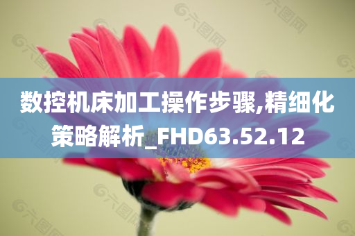 数控机床加工操作步骤,精细化策略解析_FHD63.52.12