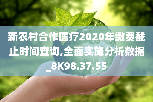 新农村合作医疗2020年缴费截止时间查询,全面实施分析数据_8K98.37.55