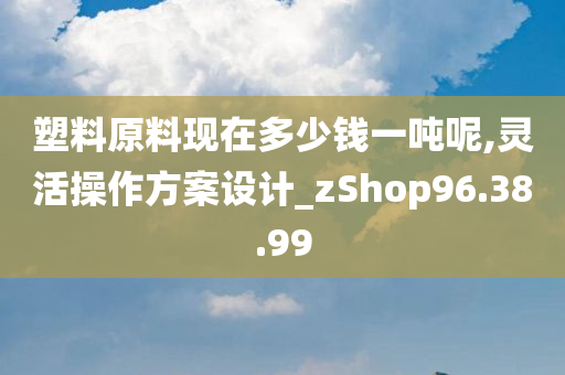 塑料原料现在多少钱一吨呢,灵活操作方案设计_zShop96.38.99