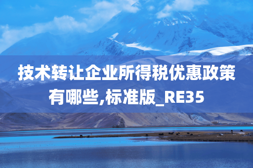 技术转让企业所得税优惠政策有哪些,标准版_RE35