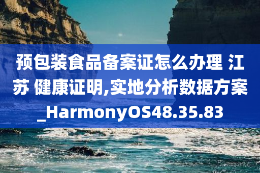 预包装食品备案证怎么办理 江苏 健康证明,实地分析数据方案_HarmonyOS48.35.83