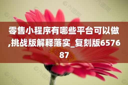 零售小程序有哪些平台可以做,挑战版解释落实_复刻版657687