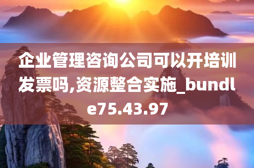 企业管理咨询公司可以开培训发票吗,资源整合实施_bundle75.43.97