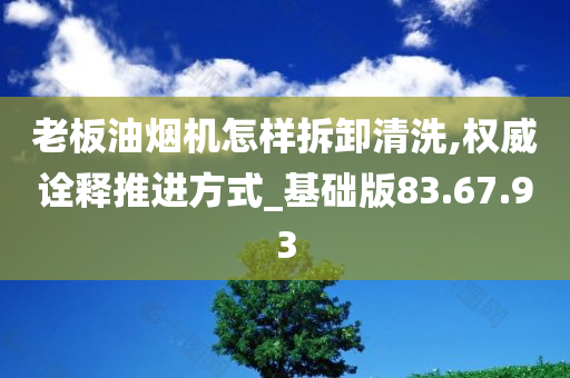 老板油烟机怎样拆卸清洗,权威诠释推进方式_基础版83.67.93