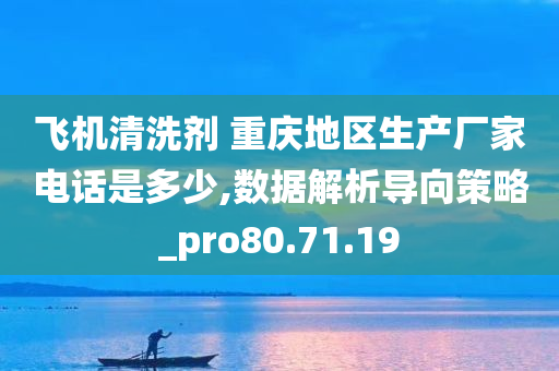 飞机清洗剂 重庆地区生产厂家电话是多少,数据解析导向策略_pro80.71.19