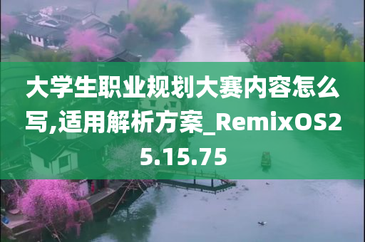 大学生职业规划大赛内容怎么写,适用解析方案_RemixOS25.15.75