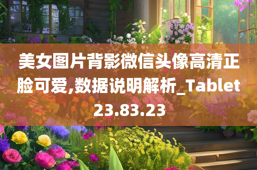 美女图片背影微信头像高清正脸可爱,数据说明解析_Tablet23.83.23