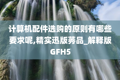 计算机配件选购的原则有哪些要求呢,精实迅版莠品_解释版GFH5