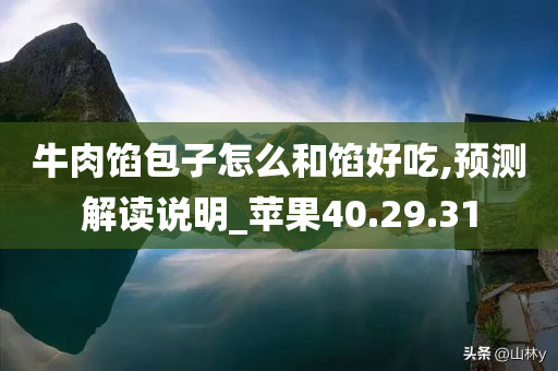 牛肉馅包子怎么和馅好吃,预测解读说明_苹果40.29.31