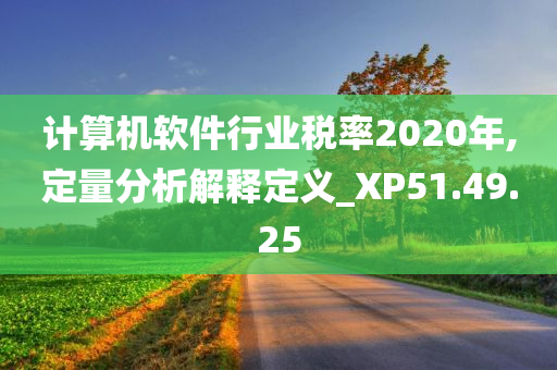 计算机软件行业税率2020年,定量分析解释定义_XP51.49.25