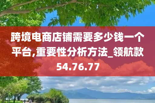 跨境电商店铺需要多少钱一个平台,重要性分析方法_领航款54.76.77