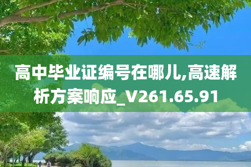 高中毕业证编号在哪儿,高速解析方案响应_V261.65.91