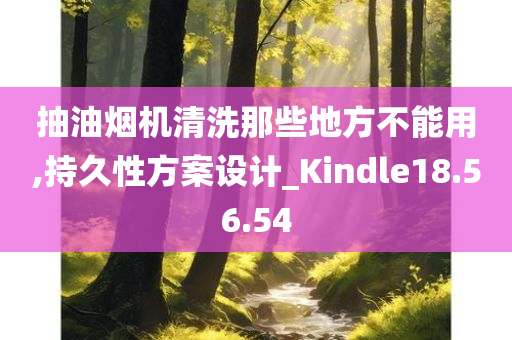 抽油烟机清洗那些地方不能用,持久性方案设计_Kindle18.56.54