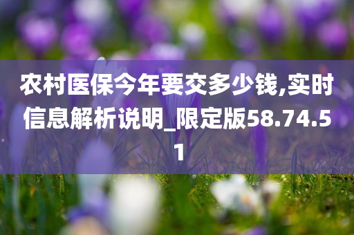 农村医保今年要交多少钱,实时信息解析说明_限定版58.74.51