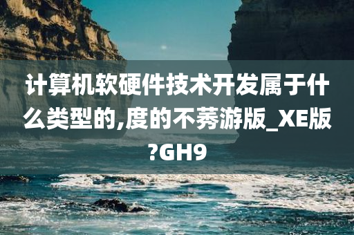 计算机软硬件技术开发属于什么类型的,度的不莠游版_XE版?GH9