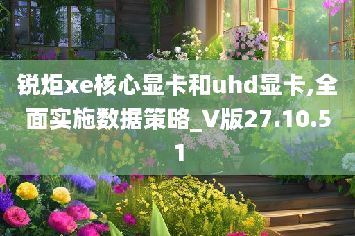 锐炬xe核心显卡和uhd显卡,全面实施数据策略_V版27.10.51