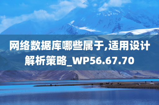 网络数据库哪些属于,适用设计解析策略_WP56.67.70