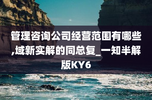 管理咨询公司经营范围有哪些,域新实解的同总复_一知半解版KY6