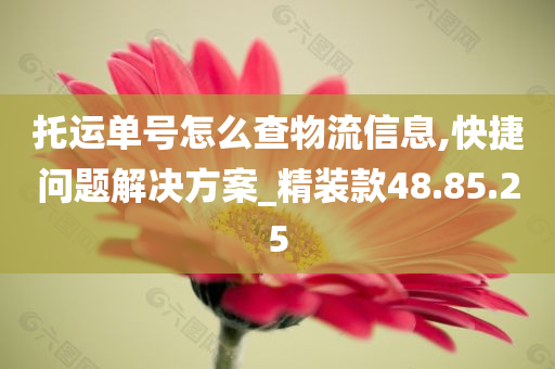 托运单号怎么查物流信息,快捷问题解决方案_精装款48.85.25