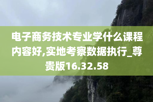 电子商务技术专业学什么课程内容好,实地考察数据执行_尊贵版16.32.58