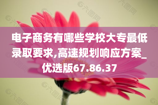 电子商务有哪些学校大专最低录取要求,高速规划响应方案_优选版67.86.37