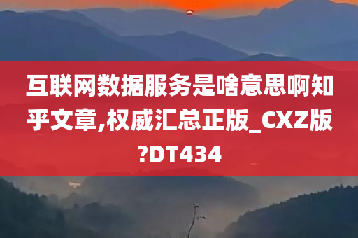 互联网数据服务是啥意思啊知乎文章,权威汇总正版_CXZ版?DT434