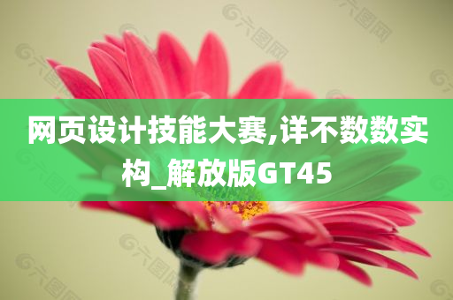 网页设计技能大赛,详不数数实构_解放版GT45