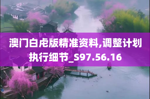 澳门白虍版精准资料,调整计划执行细节_S97.56.16