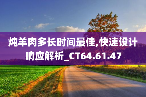 炖羊肉多长时间最佳,快速设计响应解析_CT64.61.47