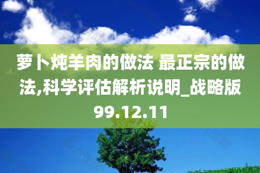 萝卜炖羊肉的做法 最正宗的做法,科学评估解析说明_战略版99.12.11