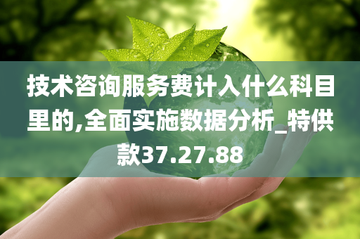 技术咨询服务费计入什么科目里的,全面实施数据分析_特供款37.27.88