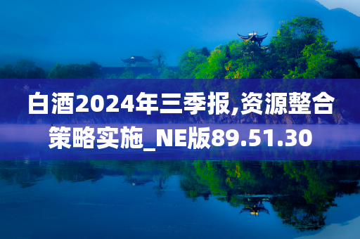 白酒2024年三季报,资源整合策略实施_NE版89.51.30