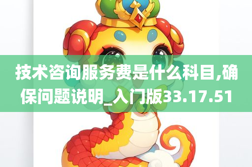 技术咨询服务费是什么科目,确保问题说明_入门版33.17.51