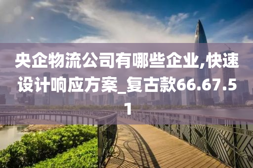 央企物流公司有哪些企业,快速设计响应方案_复古款66.67.51