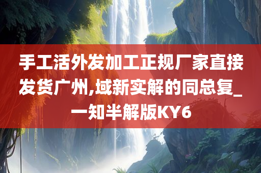 手工活外发加工正规厂家直接发货广州,域新实解的同总复_一知半解版KY6